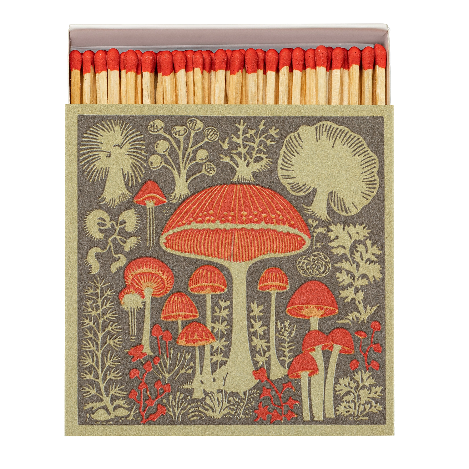 Archivist Luxury Matches - Mushrooms